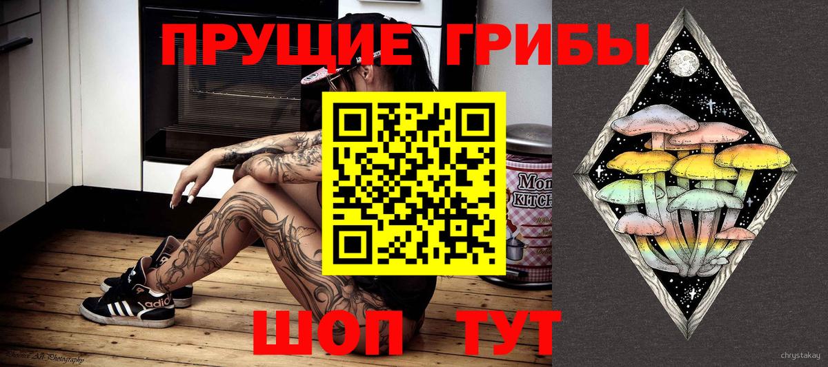 Галлюциногенные грибы мицелий  Галлюциногенные грибы Psilocybine cubensis  Вход с VPN  Шарыпово 